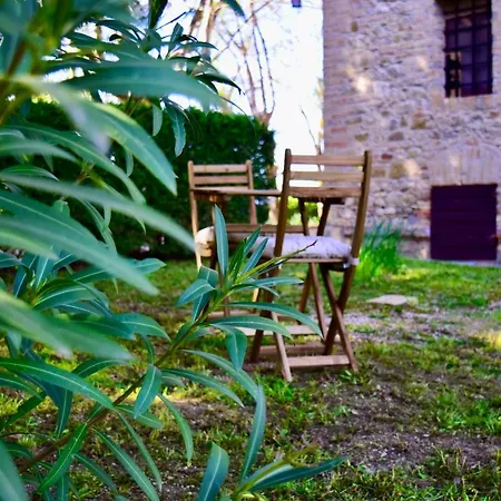 Apartment Il Palazzo *