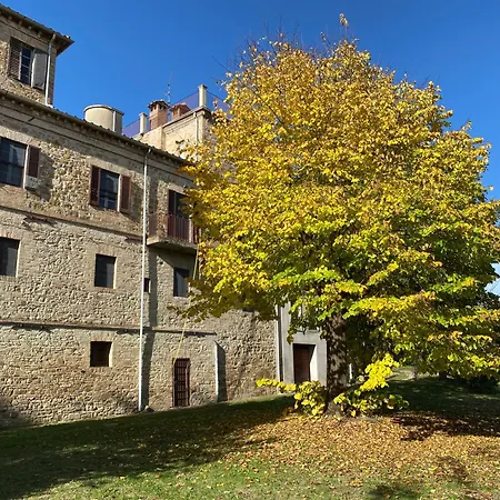 Il Palazzo Appartamento *